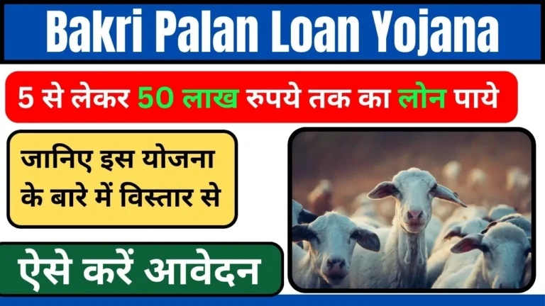 Bakri Palan Loan Yojana 2024: 50 लाख का लोन