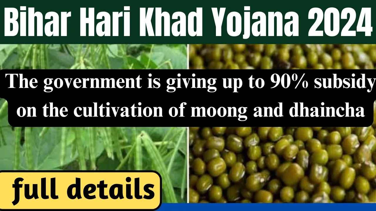 The government is giving up to 90% subsidy on the cultivation of moong and dhaincha